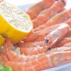 Fructe de mare  Seafood  scurta descriere