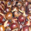Castane coapte