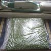 DIN CATEGORIA LEGUME CONGELATE DUPA FIERBERE - MAZARE 