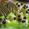 Salata de icre de stiuca