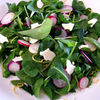 Salata de primavara