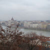 Din gusturile Vienei si Budapestei