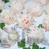 Aperitiv "Corali"