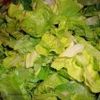 Salata Simpla de Salata Verde