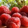Dulceata de zmeura
