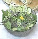 Salata de castraveti