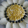Salata "Floarea Soarelui" / "Sunflower" Salad