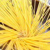 SPAGHETE CARBONARA