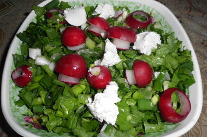 Salata  de legume cu branzica